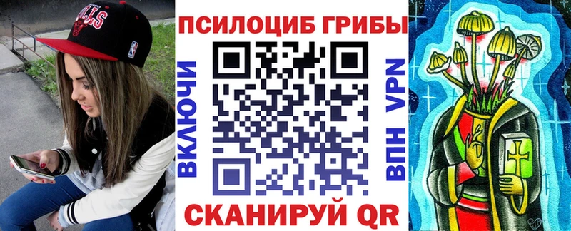 Псилоцибиновые грибы мицелий  Купить  Сорочинск 